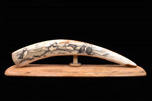 PUFFIN SCRIMSHAW